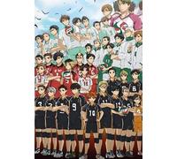 ZYHDK 1500 Pièces - Coloré Puzzle - Photos - Gifts - Classic Japanese Animes Haikyuu!! Affiche Puzzle - Jeux Et Jouets Personnalisés pour Enfants Et Adultes - Zy295Zk