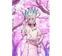 ZYHDK 1500 pièces ，Colorful Fun Puzzle ，Photos ，Gifts ，Dr.Stone Ishigami Japanese Animes ，Puzzle Personnalisé pour Enfants Et Adultes,Qz163Ax