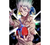 ZYHDK 1500 Pièces - Colorful Puzzle - Photos - Gifts - Classic Japanese Animes Dr.Stone Ishigami - Puzzle Personnalisé pour Enfants Et Adultes - Yw43Kj