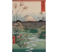 ZYHDK 1500 Pièces - Fun Puzzle - Affiche - Gifts - Japanese Ukiyoes Style Decorative Painting - Utagawa Hiroshige Art Work - Jouets Amusants pour Adultes - Yz207Wk