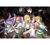 ZYHDK 1500 Pièces - Photos - Gifts - Fun Puzzle - Classic Japanese Animes Busujima Affiche - Jouets De Jeux Personnalisés pour Enfants Et Adultes - Yz162Wk