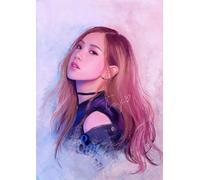 ZYHDK 1500 Pièces Puzzle - Colorful Puzzle - Photos - Gifts - Korea Group Band Blackpinks Rosé Art Affiche - Jeux De Réduction du Stress pour Adultes - Xw177Zk