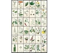 ZYHDK - 2000 Pièces - Puzzles Difficiles - Plant Collage Illustrations - Cadeaux - Peinture - Jouets Amusants Et Stimulants pour Toute La Famille - Décoration Murale - Hj57Mb