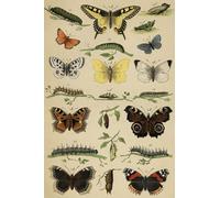 ZYHDK Difficult Puzzle - Irregular 1500 Pièces - ,Retro Butterflys Illustrations - Jouets De Puzzle Anti-Stress pour Adultes - Wz137Zw