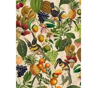 ZYHDK - Puzzle - 2000 Pièces - Cadeaux - Peinture - Birds and Flowers Art Illustrations - Jeux De Mémoire Et De Cognition pour Les Personnes Âgées - Jouet De Décompression pour Adultes - Gk204Aw