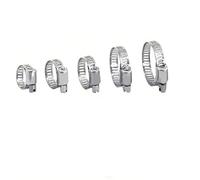 ZYHNYTAO Lot de 2 à 10 colliers de serrage à vis sans fin en acier inoxydable 304 de toutes tailles - Colliers de serrage pour tuyaux de carburant et eau, 100-120 mm, 10 pièces