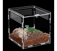Zyiphor Terrarium Phasme Terrarium Escargot Boîte d'alimentation D'insectes Boîte D'élevage de Reptiles Terrariums Acrylique Terrariums Transparent pour Escargots, Araignées (15x15x15cm)