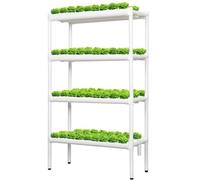 ZYJIX 216 Sites Vertical Hydroponic Grow Kit 4 Tier System with Pump, Soilless Indoordoor Garden for Leafy Green Herbs and Fruits, Space Saving ABS Pipes Home Farming
