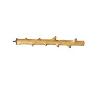 ZYKEJJDDAK Perchoir en bois naturel pour perroquets, conures, perruches, grattoir, jouet pour petits perroquets