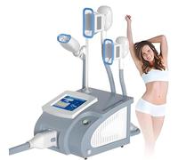 ZYLDDS Cryolipolyse Machine Professionnelle, Cryolipolyse Machine Maison, Portable Appareil Cryolipolyse Minceur, Congélation des Graisses Minceur pour Bras Taille Cuisse Hanche