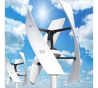 ZYLDDS Éolienne Génération d'électricité Éolienne Éolienne 12-220 V Kit Complet Générateur d'énergie éolienne 10000/12000 W pour Maison, Surveillance, Bateaux et lanternes de Rue solaires 12000W-12V
