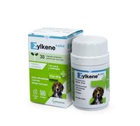ZYLKENE Plus pour Chiens de Taille Moyenne (10-30 kg)