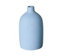 ZYLLZY Morandi - Vase décoratif moderne en céramique d'arts nordiques - Arrangement floral coloré - Vase décoratif en céramique pour cuisine, bureau, salon, bleu clair