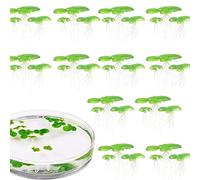 ZYMIADOU Lot de 2 lentilles d'eau flottantes réalistes pour aquarium - Barrière anti-lumière du soleil et contrôle des algues