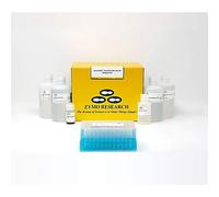 Zymo Research D6010-FM Quick-DNA Microbe fécal/sol 96 Magbeads Kit de 2 x 96 préparations; Lysis Rack 96 puits