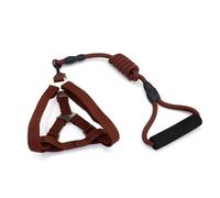 Zymoplas Harnais de Cochon Laisse Harnais de Marche Laisses Portables en Nylon Ceinture sécurité Résistance à la Traction Corde Plomb extérieure pour l'entraînement Jogging, Café,0.6 * 120cm, S