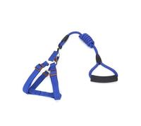 Zymoplas Harnais de Cochon Laisse Harnais de Marche Laisses Portables en Nylon Ceinture sécurité Résistance à la Traction Corde Plomb extérieure pour l'entraînement Jogging, Bleu,1.2 * 120cm, XL