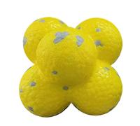 Zymoplas Jouets sautants pour Chiens de Compagnie, résistants pour aux balles à Mordre, pour l'entraînement et Les taquineries, capables de résister pour aux mouvements Mastication des Chiens