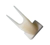 Zymoplas Oiseaux perroquets Cage Fourchette à Fruits Externe fixateur Accessoire Cages Accessoires Alimentation Porte-Nourriture Supports de Fixation