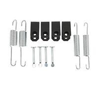 Zymothrix Kit de Ressorts pour Sabots de Frein, 12 pièces, référence 1018163 01, Compatible avec Les Chariots Club Car DS Precedent à partir de 1980, Comprenant des Ressorts à Pince et des