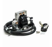 ZYNCUE Bobine d'allumage à double cylindre pour B-riggs&S-Tratton 16-18 HP 394891