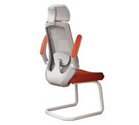 ZYSKABQ Chaise de Bureau de Bureau exécutif Ergonomique avec Armes réglables et Support Lombaire sans Roues Chaise de tâche de Jeu pour Le Bureau à Domicile (Gris) Octopus Feet