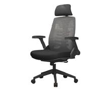 ZYSKABQ Chaise de Bureau de Support Lombaire Ergonomique pour études à Domicile et Travail Informatique (Bleu) Octopus Feet