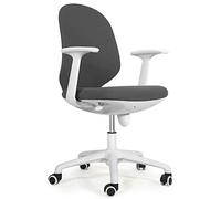 ZYSKABQ Chaise de Jeu de Bureau Ergonomique avec Appui-tête réglable pivotant et Support Lombaire, idéale pour Le Travail à Domicile, Les études ou Les Jeux, Couleur Argent Octopus Feet