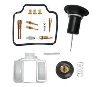 ZYSM Kit De Réparation De Carburateur Pour Moto Pour BIG RUCKUS PS250, Pièces De Rechange Pour Carburateur, Diaphragme À Flotteur Et Piston. Pièces de carburateurs(Couleur 1)