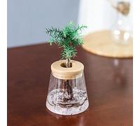 ZYWUOY Lot de 2 pots de fleurs transparents à absorption automatique pour éviter que la terre ne pousse de petites plantes en pot