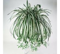 ZYWUOY Orchidée artificielle chlorophytum en soie, plante araignée, plante herbe, décoration de jardin, accessoires de décoration intérieure