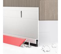 ZYXQQJ Butée De Porte En Aluminium 80 90 100 120cm Bas De Porte Isolant Bas De Porte Isolant Joint De Sol Pour Portes Bloquant Le Bruit, Poussière(Silver,H3.5xL39in/8.9x100cm)
