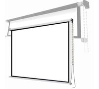 ZYXQQJ Écran De Projection 40" 50" 60" Écran De Cinéma Rétractable Manuel Toile De Projecteur Portable 16:9 pour Cinéma Maison De Bureau(4:3,40")