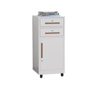 ZYYANSHOP Meuble de Rangement Bureau Armoire de classement et d'archives multifonctionnelle, Armoire à Double tiroir en Acier, bibliothèque Balcon, Rangement, Bureau avec verrouillable