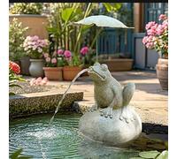 ZYZSY Fontaine de Jardin à cracheur Grenouille, Jet d'eau pour Bassin avec Pompe, Grenouille sur la Pierre - Sujet Cracheur pour Donner Vie à Votre Bassin de Jardin(Gray2)