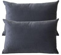 ZZDZW Housse De Coussin Canapé Taie d'oreiller 50x70 cm Velours,Taie Oreiller 40x60/70x40 Housse D Oreiller Lavable Fermeture Éclair Lot De 2 Throw Pillow Covers pour Lits(#1,50x70 cm Set of 2)