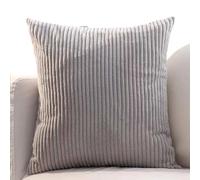 ZZDZW Lot De 2 Housses De Coussin Canapé,Taie d'oreiller 60x60 80x80 Velours Côtelé Housse Taie Oreiller 50x70 pour Canapé Carré Salon Moderne pour Couverture Oreiller(Gris Clair,30x50 cm)