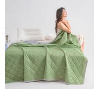 ZZDZW Quilts Couette D'été,Quilts De Canapé，Couette en Microfibre Couette Parures De Lits Couette Couverture en Microfibre Couette 4 Saisons Couett (Color : Fruit Green, Size : 100X150CM)