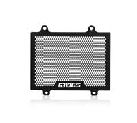 ZZEVLQTQP Protection de calandre de Moto Compatible avec Les modèles G310GS 2016, 2017, 2018, 2019, 2020, 2021 et 2022. Accessoires: