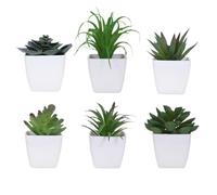 ZZIOLYTHICTRADING Plante Artificielle succulente | Lot de 6 mini-succulentes artificielles réalistes