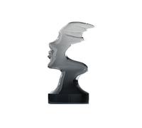 ZZlei2yu-12 décoration d'intérieur Abstract Figure Transparent Art Ornament Minimalist Decoration
