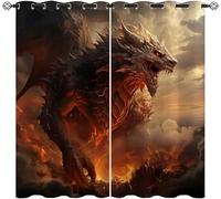 ZZTBQ Dragon 2 Pièces Rideaux Occultants Enfant Dragons Rideau Occultant Opaque à Oeillets Donjon et Dragon 100x140cm pour Chambre d'enfant et Salon