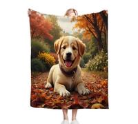 ZZXHG Plaid Polaire 200x220 Chien Animalier Jaune, Plaid Canapé Couverture Flanelle Réversible en Microfibre, Moelleuse Couvre Lit 2 Personnes, Couverture Polaire pour Adultes et Enfants