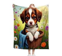 ZZXHG Plaid Polaire 220x240 cm Adulte Chien dans Un Panier, Douce Flanelle Couverture Lit 2 Personnes en Microfibre, Plaid Canape Grande Taille Jeté de Canapé, Réversible Peluche Couverture